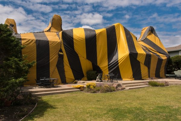 Brown and yellow striped tent covers a house for fumigation process